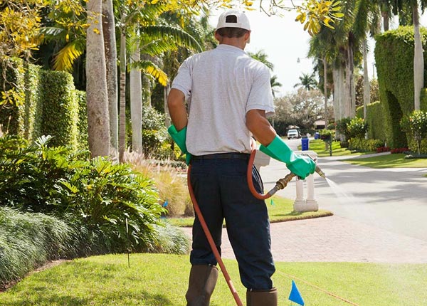 About Oak City NC Pest Control